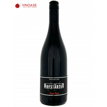 Pinot Noir Barrique 2021- Hofstädter