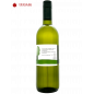 Sauvignon Blanc Ried Kühbigl 2023 - Wallner