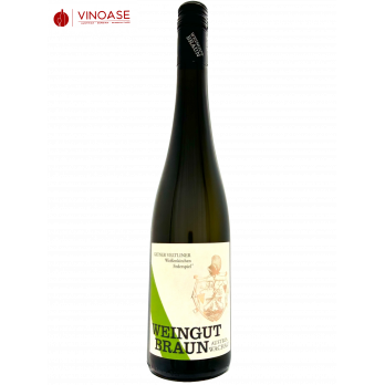 Grüner Veltliner Ried Steinriegl 2021 Weissenkirchen DAC - Braun