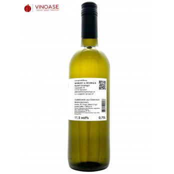Welschriesling Ried Hühnertal 2023 - Gössinger
