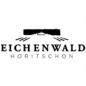 Blanc de Blanc Chardonnay Extra Brut 2021 - Eichenwald