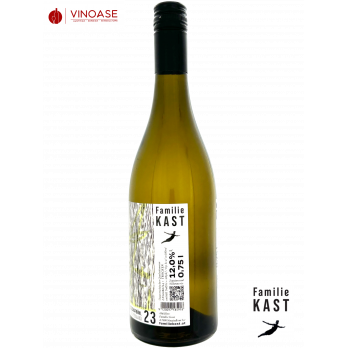 Sauvignon Blanc Ried Schafbühl 2023 - Familie KAST *