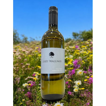 Vier/25er Gemischter Satz 2025 - Wallner