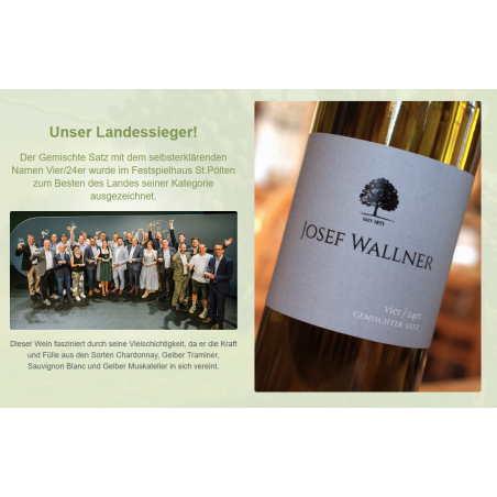 Vier/25er Gemischter Satz 2025 - Wallner