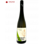 Grüner Veltliner -Verkostung