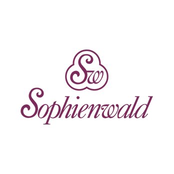 Mundgeblasene Wassergläser Sophienwald