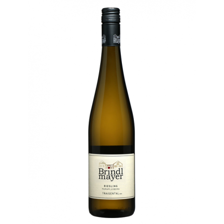 Riesling Parapluiberg 2024 Traisental DAC - Brindlmayer