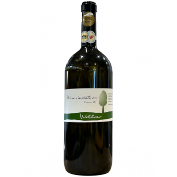 Weinviertel DAC Reserve 2021 - 1,5 l Magnum - Wallner