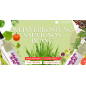Sauvignon Blanc - Verkostung