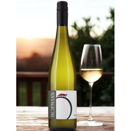 Grüner Veltliner Fuchsenrand 2024 - Hofmann