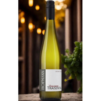 Grüner Veltliner Venusberg 2025 - Hofmann