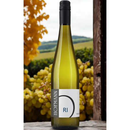 Riesling Oberndorf Organic 2025 - Hofmann