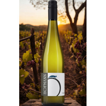 Riesling Fuchsenrand 2021 - Hofmann
