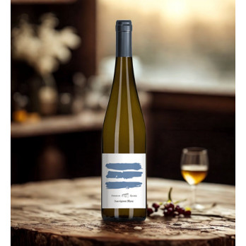 Sauvignon Blanc 2025 - Lang