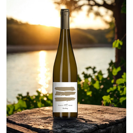 Riesling Geminus Gaisberg – Kamptal DAC - Lang