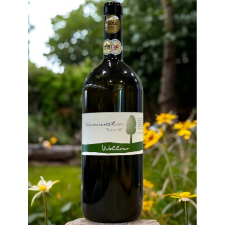 Weinviertel DAC Reserve 2021 - 1,5 l Magnum - Wallner