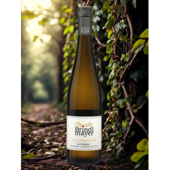 Grüner Veltliner Alte Reben Traismauer 2024 - Brindlmayer