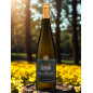 Riesling Terrassen Ried Sonnleithen 2024 - Brindlmayer