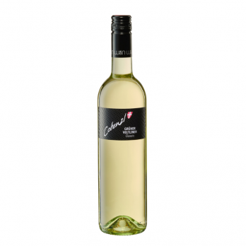 Grüner Veltliner Classic 2025 - Cobenzl