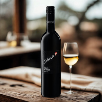 Grüner Veltliner Grinzing - Cobenzl