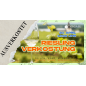 Riesling Verkostung am 30.04.26