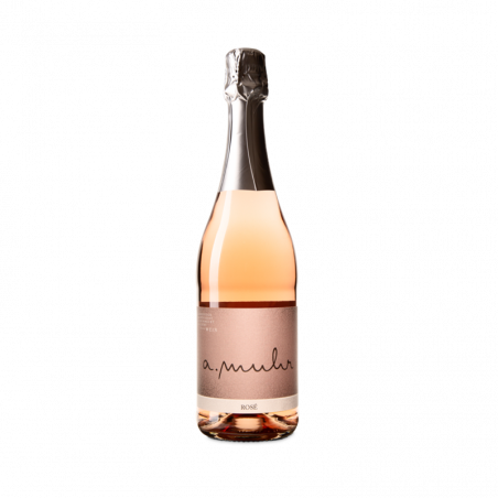 Secco Rosé 2024 - A. Muhr