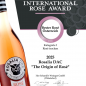Rosalia DAC Rosé "The Origin of Rosé" 2024 - Schandl's Weingut