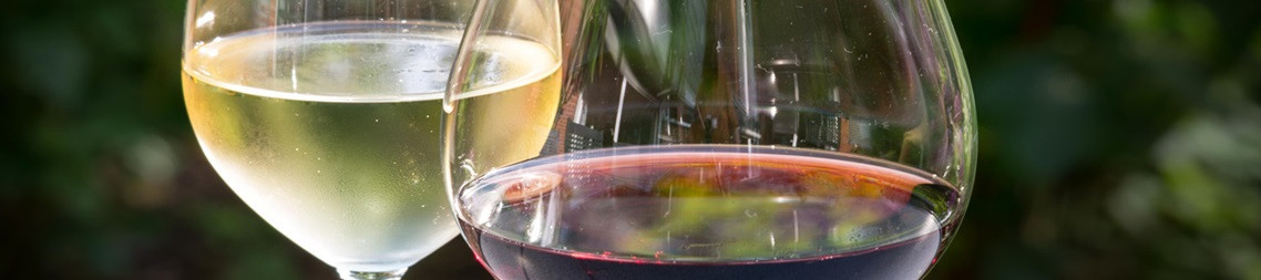 Weine und Schaumweine ohne Alkohol bei VINOASE