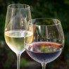 ALKOHOLFREI