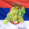 - Serbische - Weinregionen