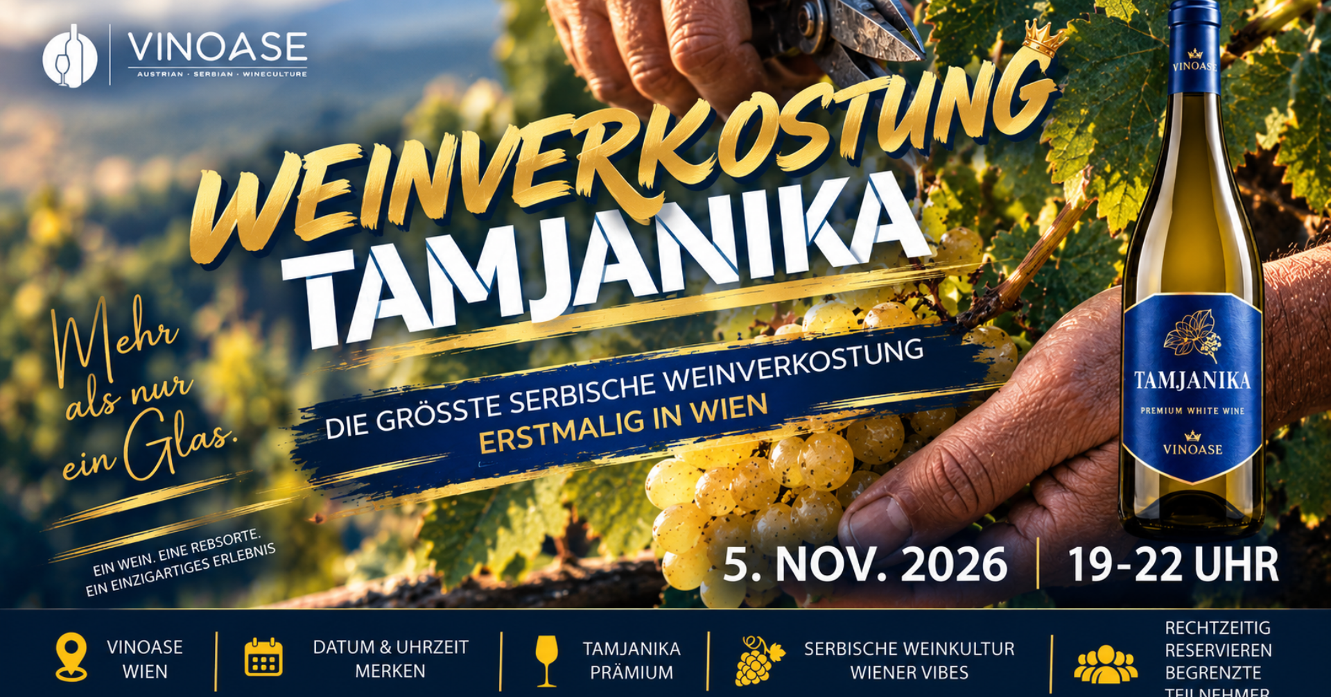 Verkostung Tamjanika