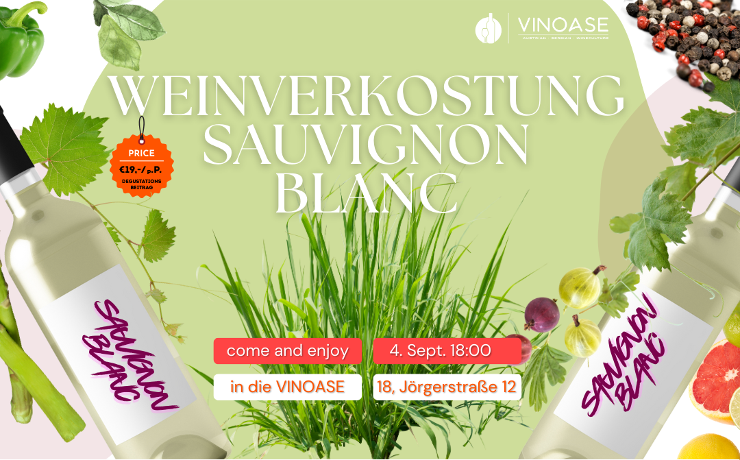 Sauvignon Blanc Verkostung