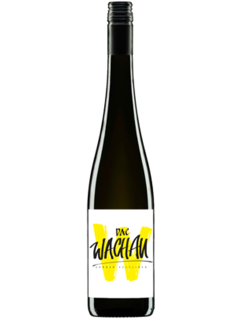 Grüner Veltliner DAC Wachau 2025 - Braun