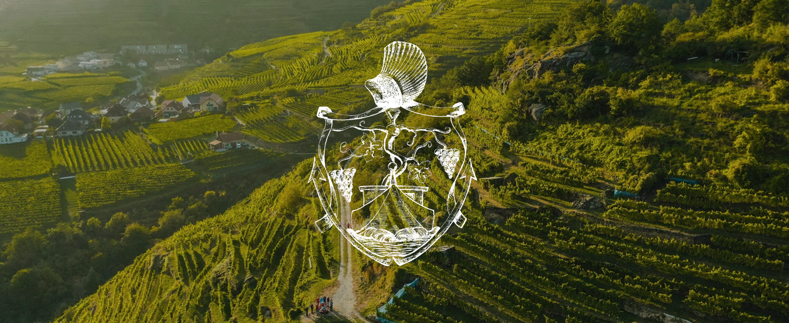 Weingut Braun