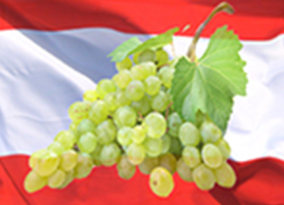 Vinoase bei Wine Affairs 2024 in Wien